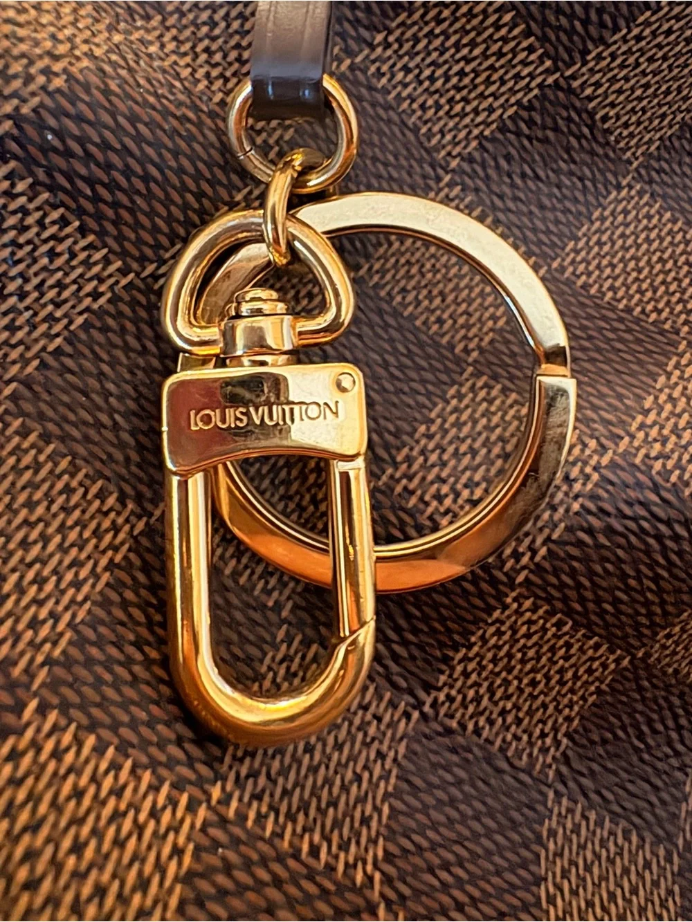 Louis Vuitton Damier Ebene Delightful Bag